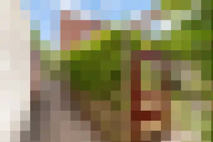 Wipmolenweg 43 Almere thumbnail 37
