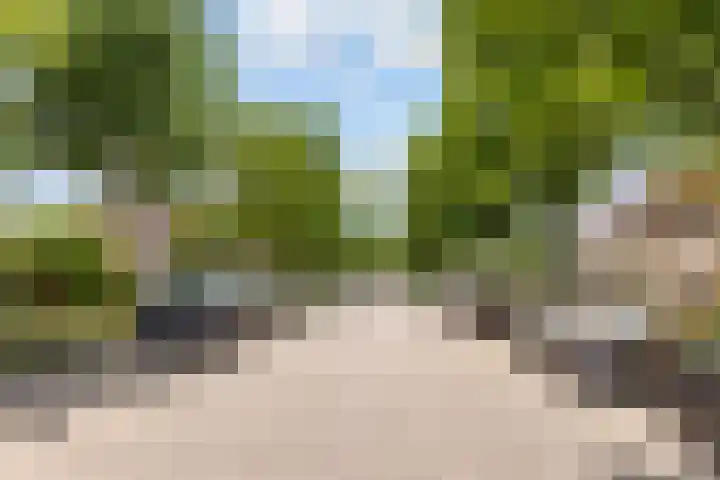 Wipmolenweg 43 Almere thumbnail 40