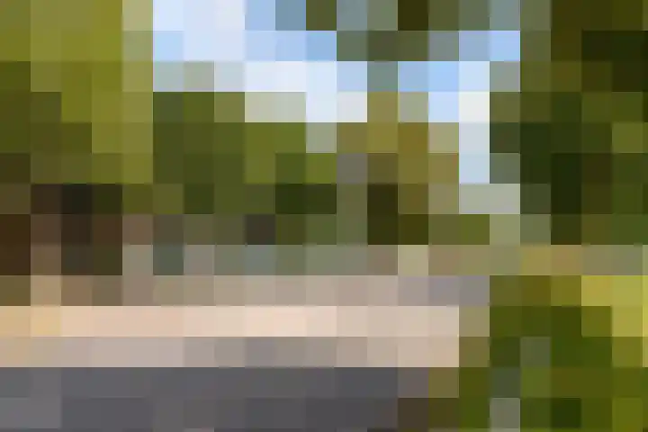 Wipmolenweg 43 Almere thumbnail 41
