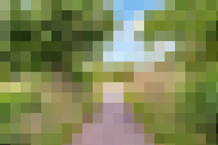 Wipmolenweg 43 Almere thumbnail 42