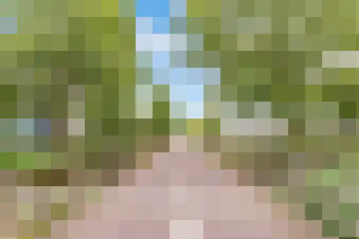 Wipmolenweg 43 Almere thumbnail 43