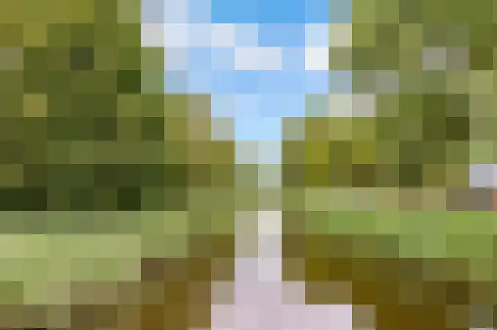 Wipmolenweg 43 Almere thumbnail 44