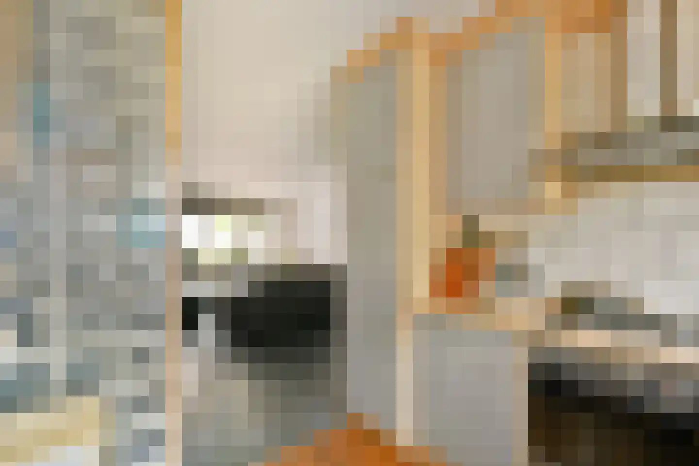 Wipmolenweg 44 Almere thumbnail 9