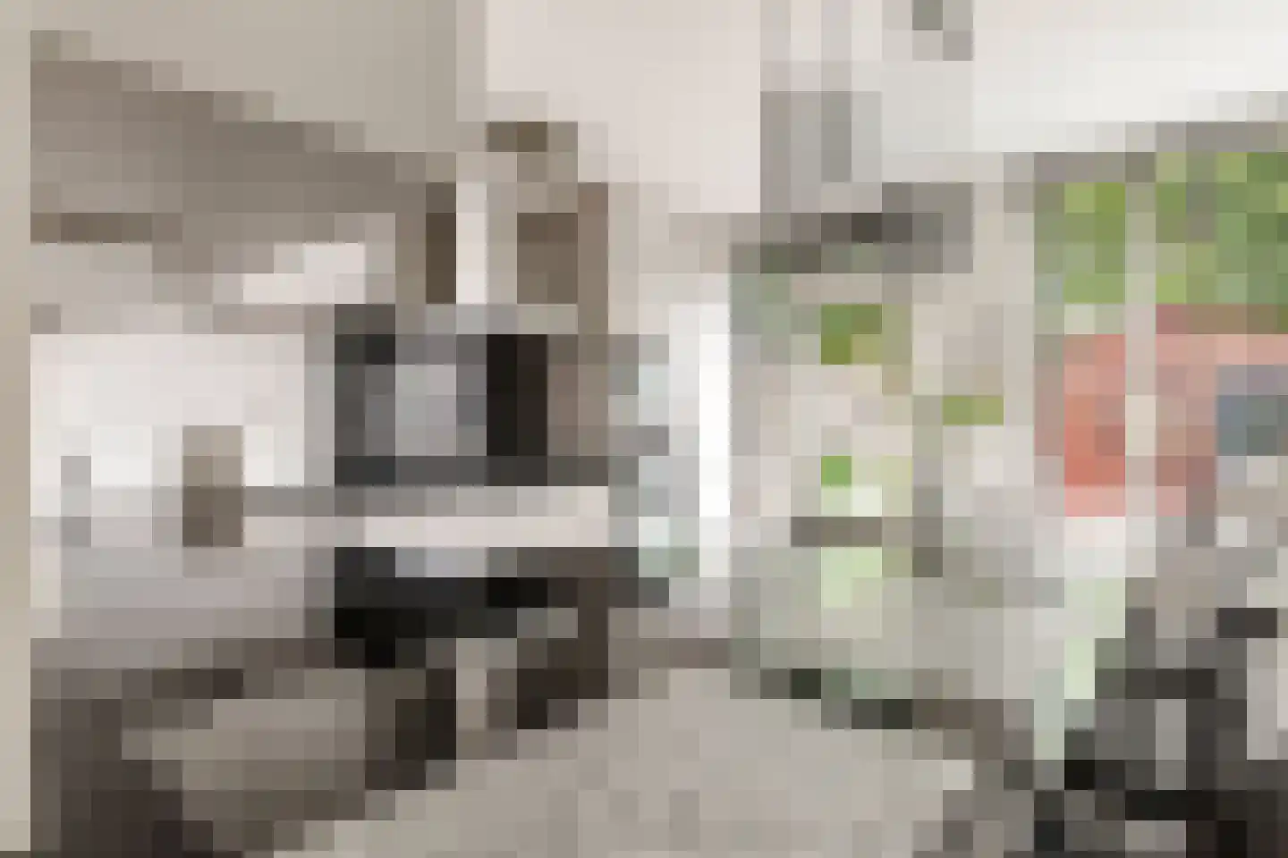 Wipmolenweg 7 Almere thumbnail 10