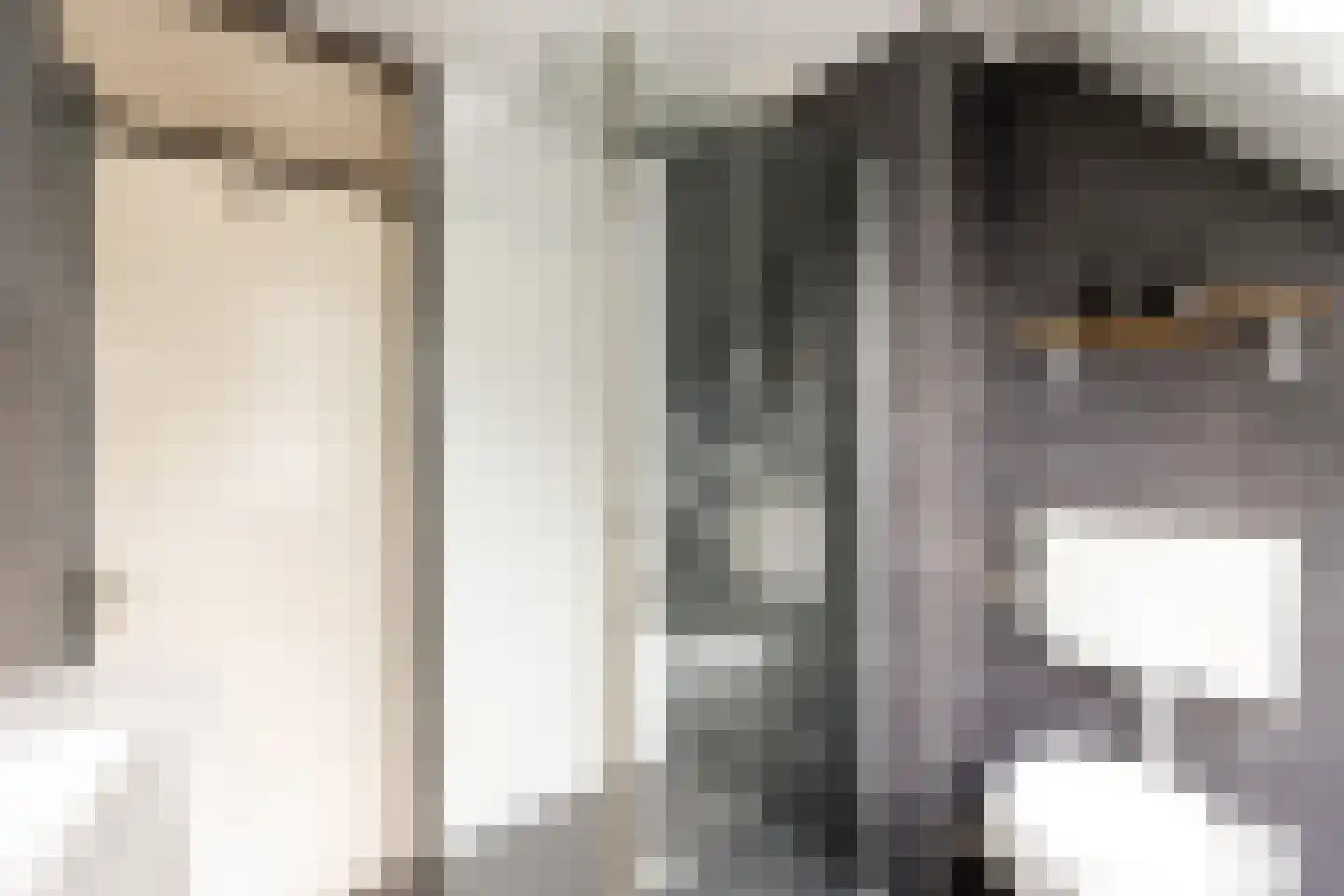 Wipmolenweg 7 Almere thumbnail 30