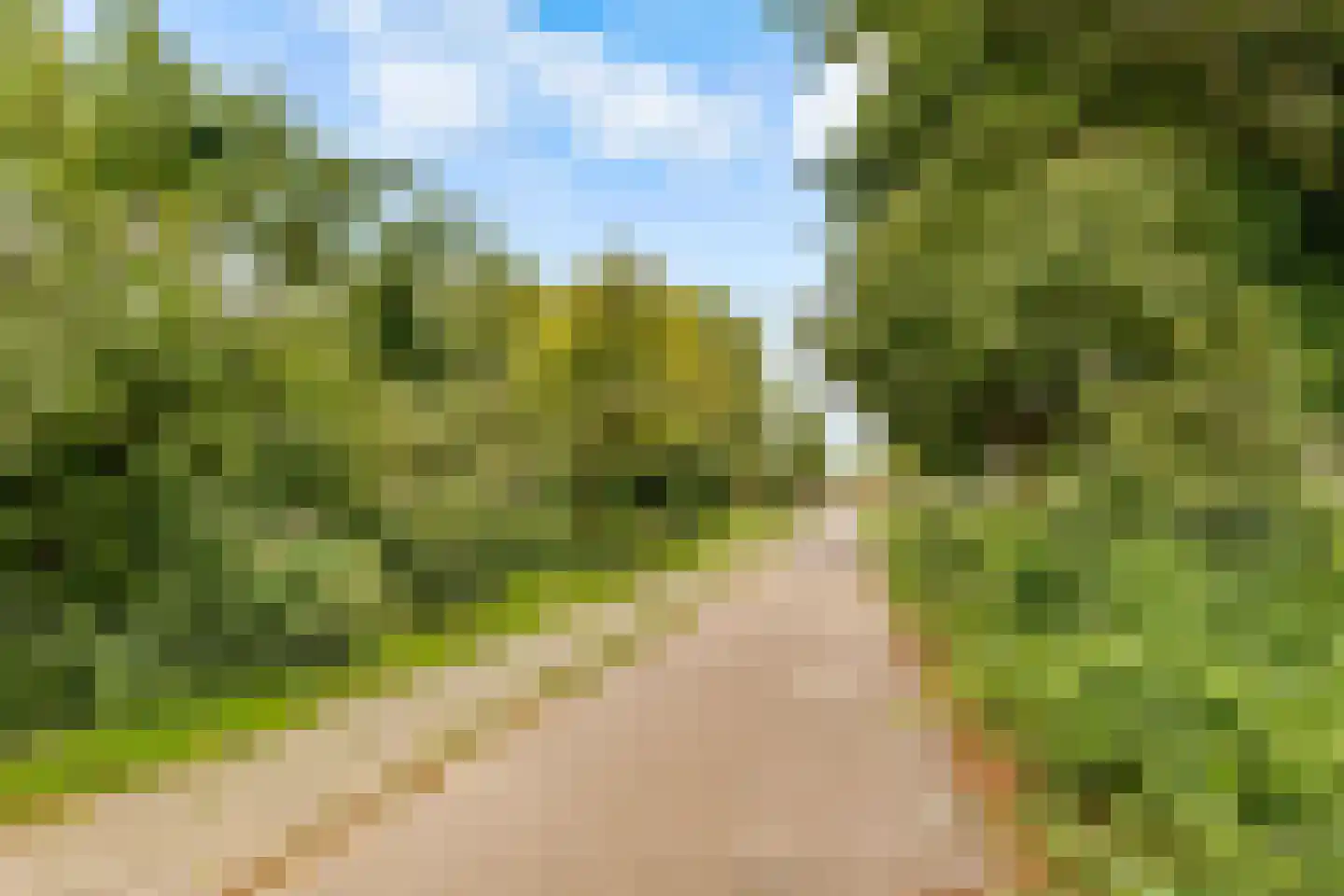 Wipmolenweg 7 Almere thumbnail 41