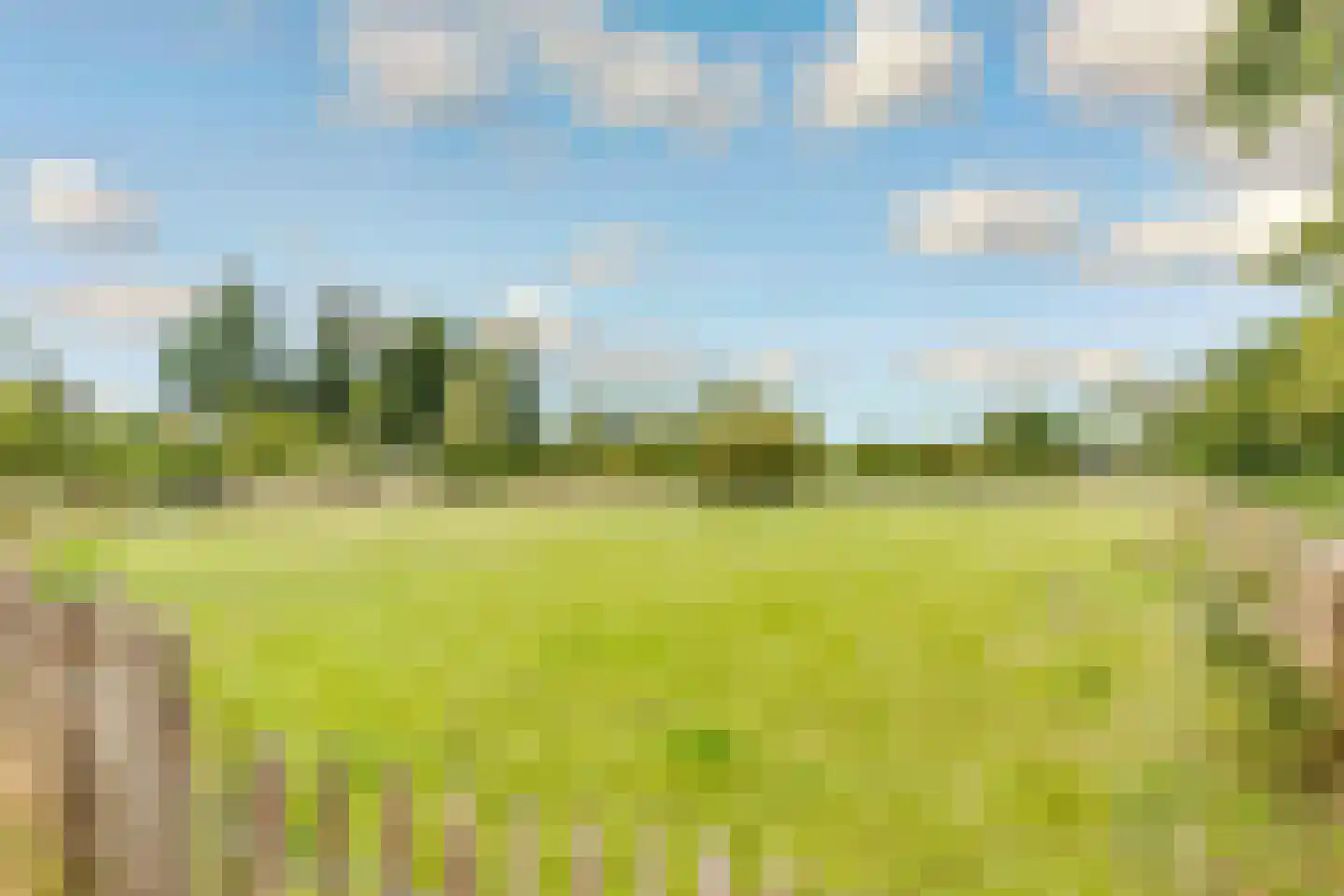 Wipmolenweg 7 Almere thumbnail 42