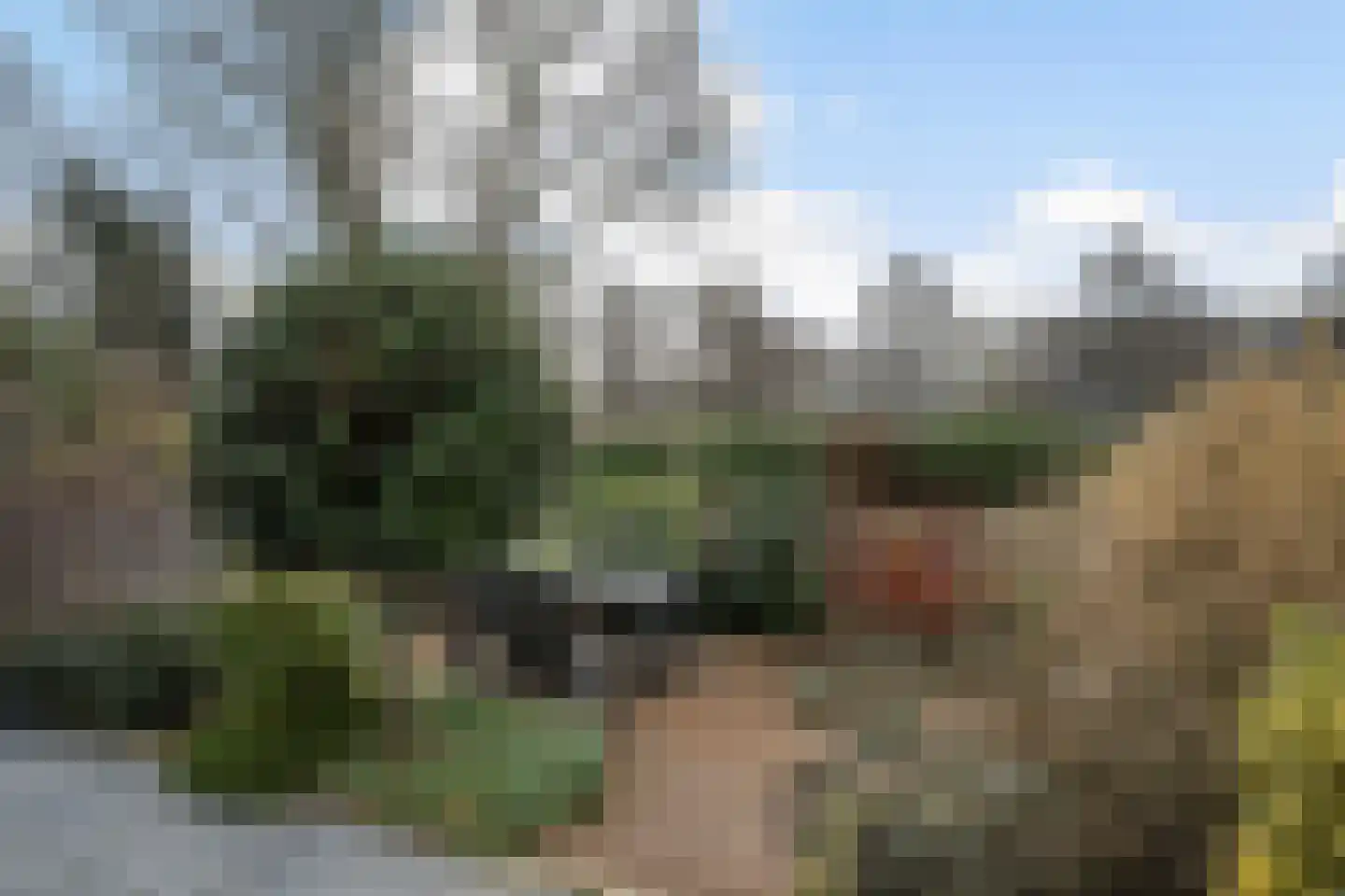 Wipperspark 118 Maassluis thumbnail 17