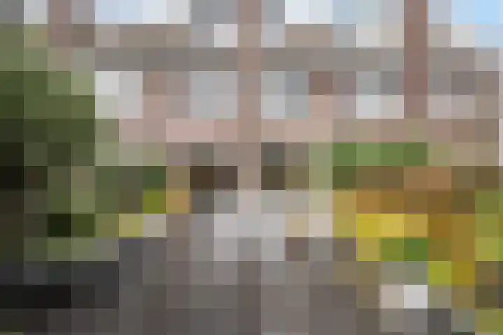 Wipperspark 87 Maassluis thumbnail 33