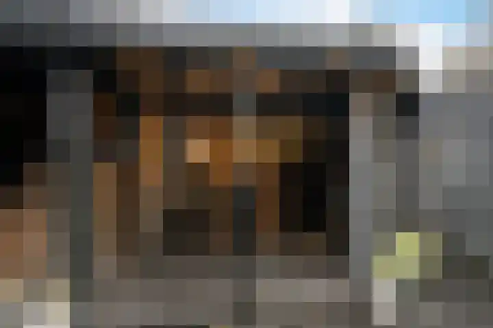 Wipperspark 87 Maassluis thumbnail 36