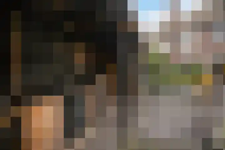 Wipperspark 87 Maassluis thumbnail 37