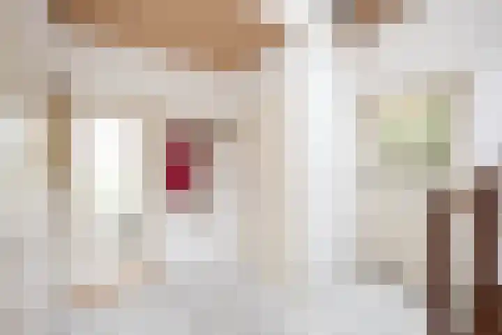 Wipstrikkerallee 115 Zwolle thumbnail 10