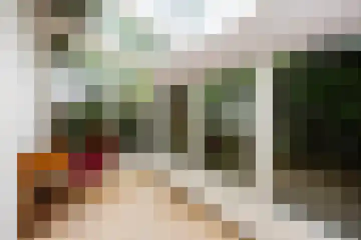 Wipstrikkerallee 115 Zwolle thumbnail 15