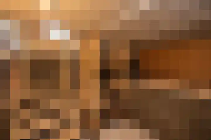 Wipstrikkerallee 115 Zwolle thumbnail 18