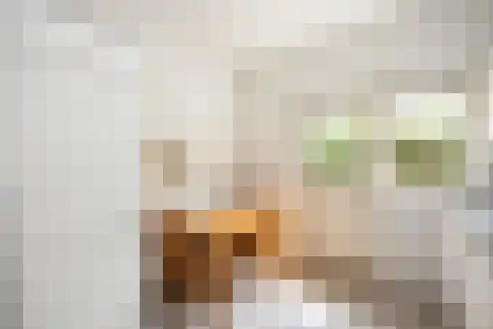 Wipstrikkerallee 115 Zwolle thumbnail 19