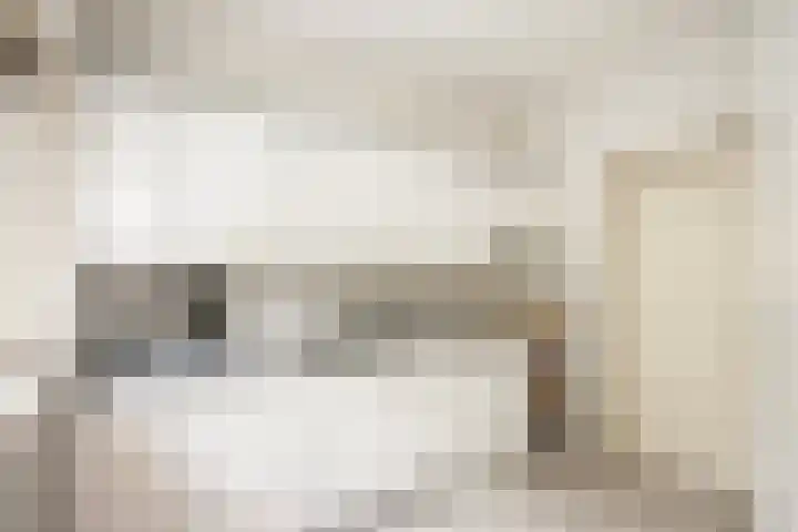 Wipstrikkerallee 115 Zwolle thumbnail 20