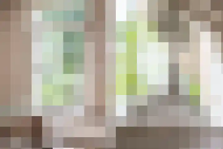 Wipstrikkerallee 115 Zwolle thumbnail 23