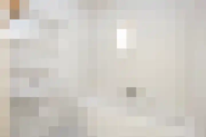 Wipstrikkerallee 115 Zwolle thumbnail 25