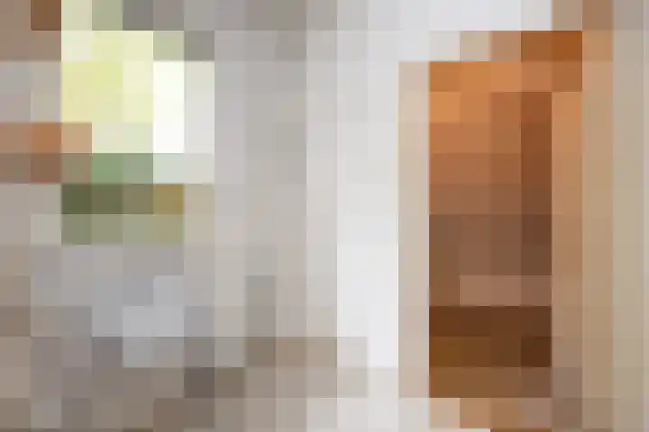 Wipstrikkerallee 115 Zwolle thumbnail 26