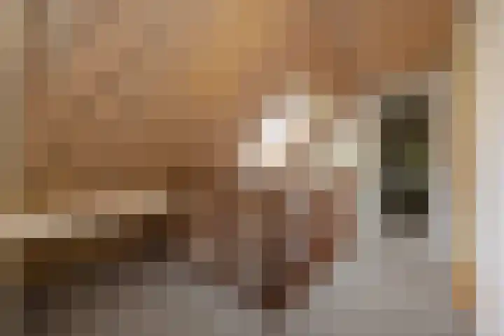 Wipstrikkerallee 115 Zwolle thumbnail 28