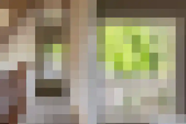 Wipstrikkerallee 115 Zwolle thumbnail 29