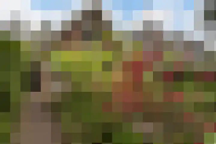 Wipstrikkerallee 115 Zwolle foto 3