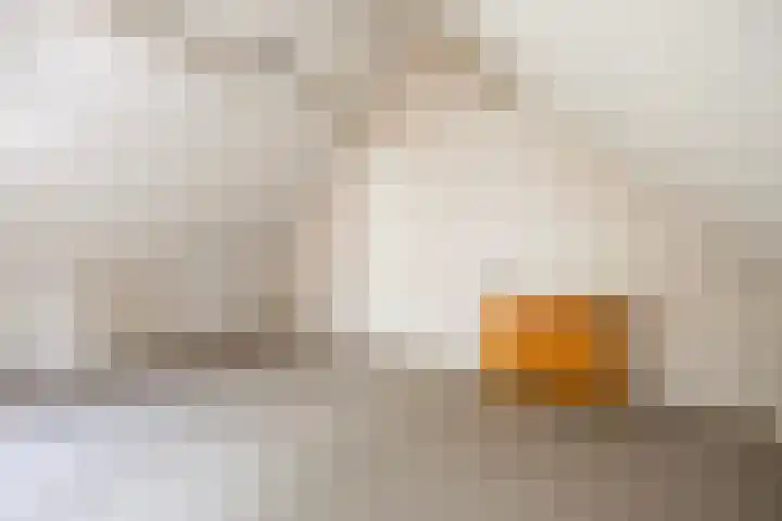 Wipstrikkerallee 115 Zwolle thumbnail 30