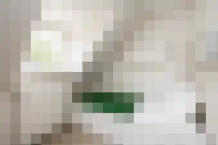 Wipstrikkerallee 115 Zwolle thumbnail 33