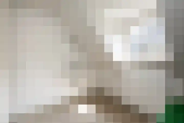 Wipstrikkerallee 115 Zwolle thumbnail 34