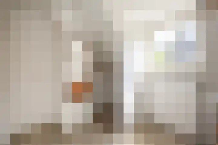 Wipstrikkerallee 115 Zwolle thumbnail 35