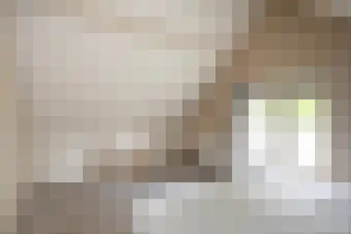 Wipstrikkerallee 115 Zwolle thumbnail 38