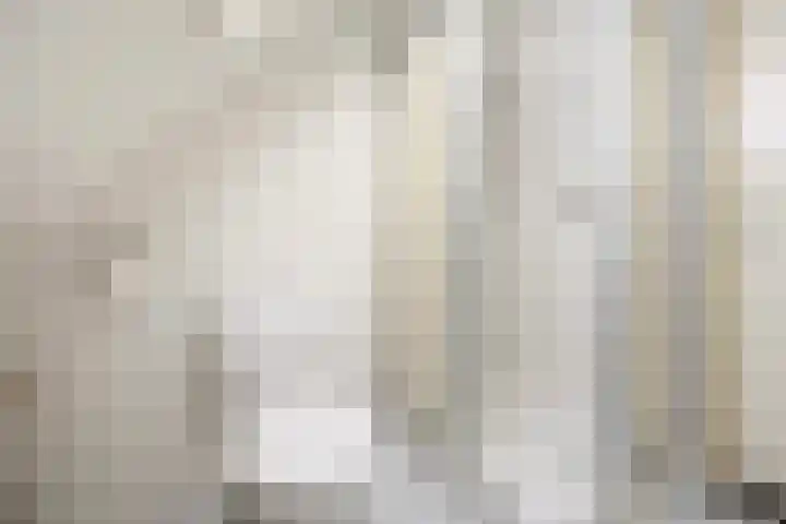 Wipstrikkerallee 115 Zwolle thumbnail 39