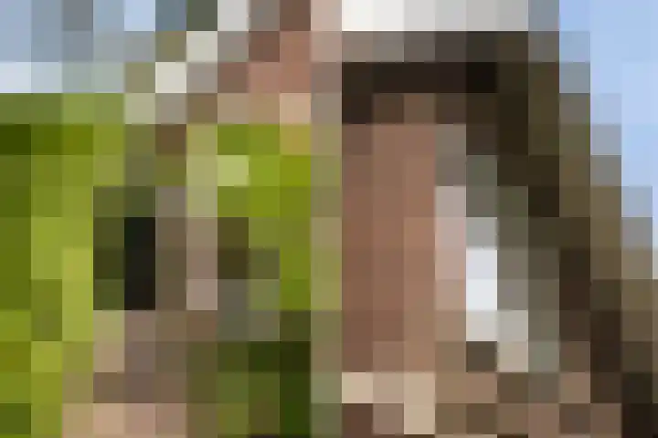 Wipstrikkerallee 115 Zwolle thumbnail 4