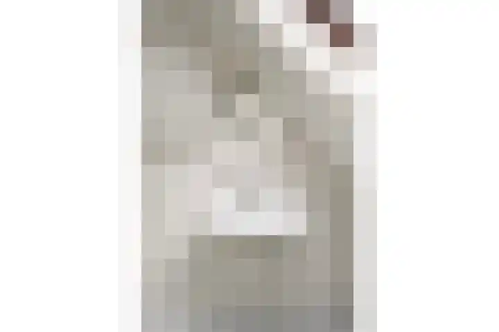 Wipstrikkerallee 115 Zwolle thumbnail 40