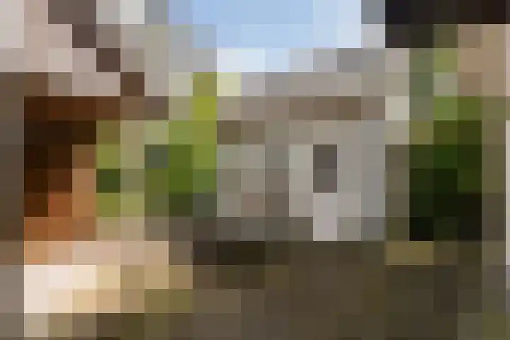 Wipstrikkerallee 115 Zwolle thumbnail 41