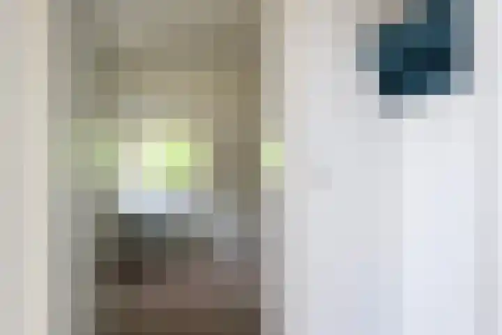 Wipstrikkerallee 115 Zwolle thumbnail 42