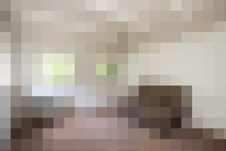 Wipstrikkerallee 115 Zwolle thumbnail 43