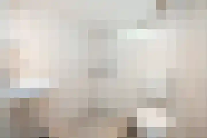 Wipstrikkerallee 115 Zwolle thumbnail 45