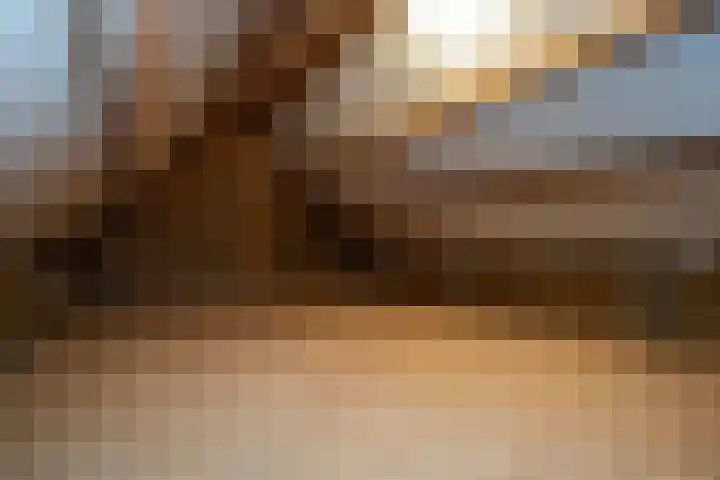 Wipstrikkerallee 115 Zwolle thumbnail 46