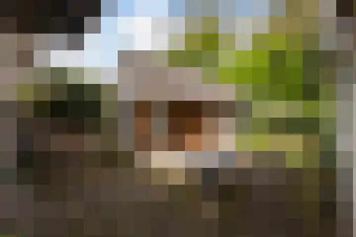 Wipstrikkerallee 115 Zwolle thumbnail 47