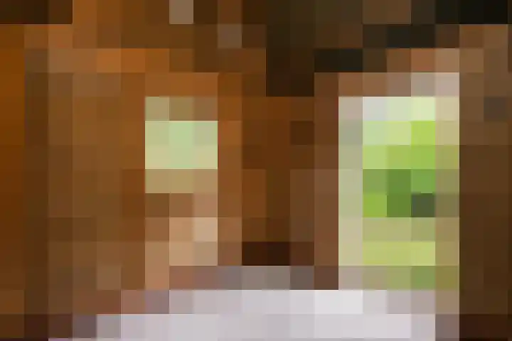 Wipstrikkerallee 115 Zwolle thumbnail 49