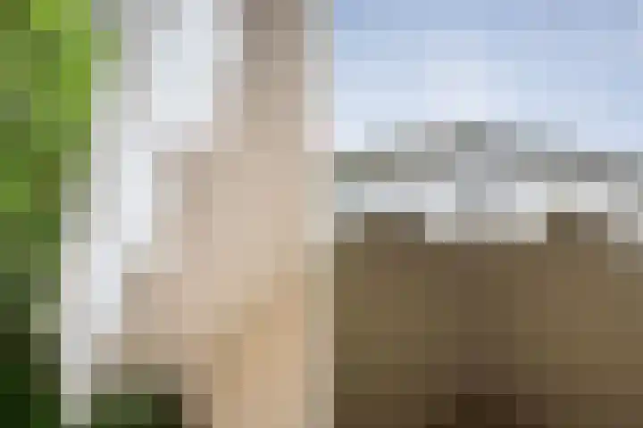 Wipstrikkerallee 115 Zwolle thumbnail 5