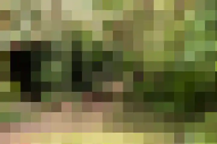 Wipstrikkerallee 115 Zwolle thumbnail 50