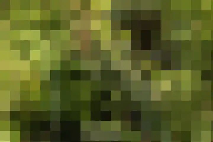 Wipstrikkerallee 115 Zwolle thumbnail 51