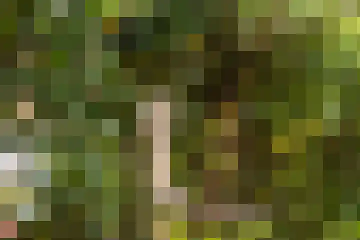 Wipstrikkerallee 115 Zwolle thumbnail 53