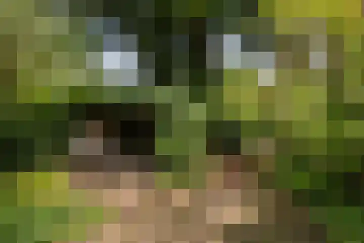Wipstrikkerallee 115 Zwolle thumbnail 54