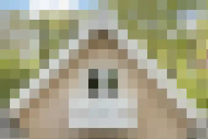 Wipstrikkerallee 115 Zwolle thumbnail 55