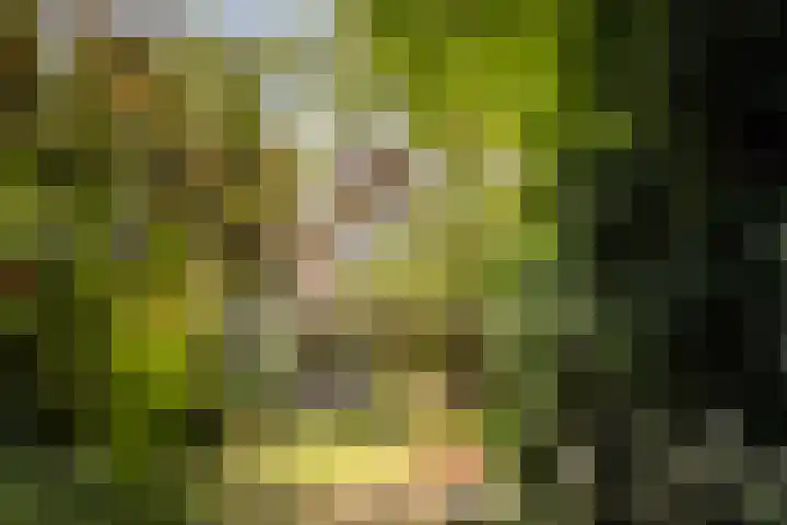 Wipstrikkerallee 115 Zwolle thumbnail 56