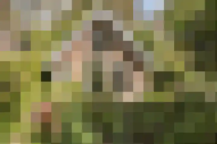 Wipstrikkerallee 115 Zwolle thumbnail 57