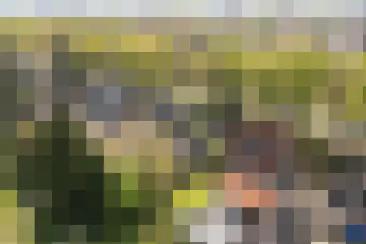 Wipstrikkerallee 115 Zwolle thumbnail 8